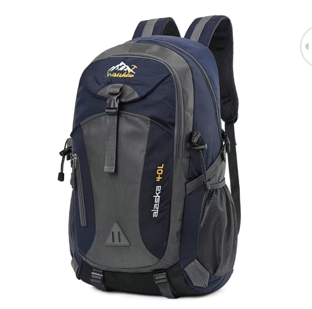 Stylish Backpack